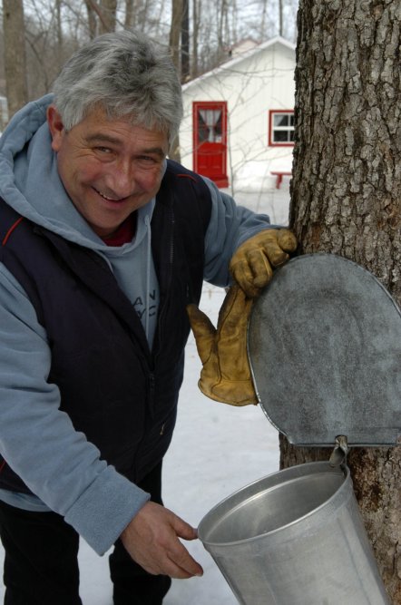 cliquer pour une photo plus grande (220k)